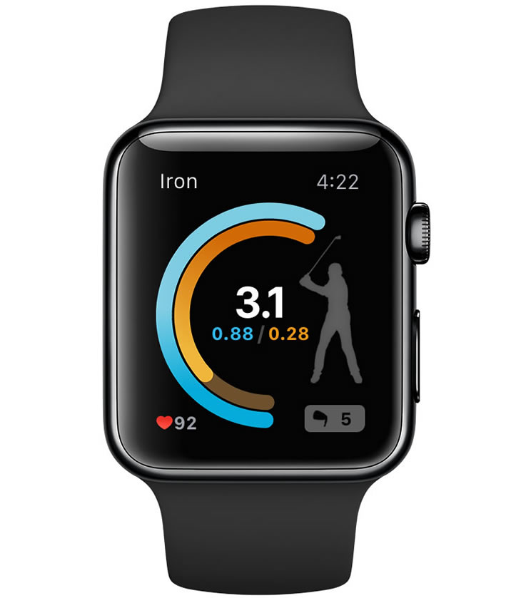 Ping iPing App Apple Watch