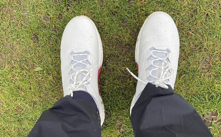 Ecco BIOM C4 Golf Shoes Review